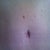 BB is coming along.  Would like to see it take on more of a rounded shape.  It's a little stretched out on the right, probably due to more swelling on the right.  Overall happy with it though.
