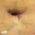 Belly Button - P.O. Day 7