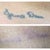 5 weeks after 6th treatment compared to before photos