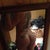 ASS..thas all... lol day 13 post op