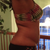 Side View - day of