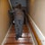 waling up the stairs to my room