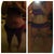 Before and after bikini!!! 1st bikini since I was a kid!!