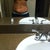 Looking forward to seeing the abs Ive worked really hard for under all this loose skin.