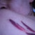 Tip of one of the wings. Starting to look faded?