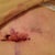 Close up of the bellybutton.....not to thrilled!