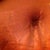 Bb post 6