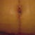 2 Weeks Belly Button