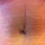 My New Belly Button 2 Days PO